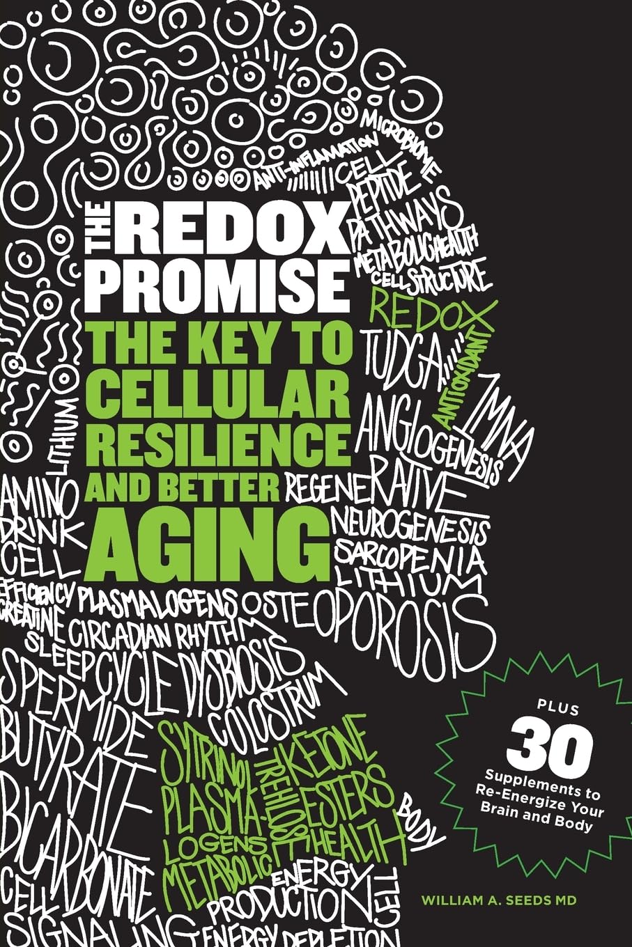 redox-promise redox promise